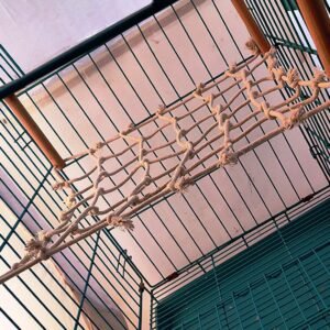 Birds net Gym Floor Toy with Wooden Sticks