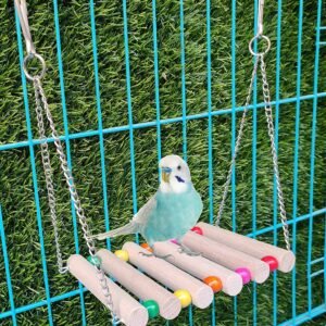 Ladder type wooden swing for small and medium birds