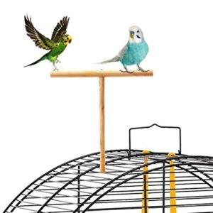 Birds T perch stand platform