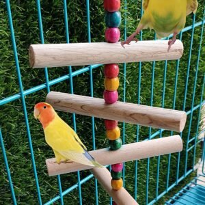 Free Moving Exercise Toy only for Small Birds Like Budgie,Lovebirds, Finch,Sparrow